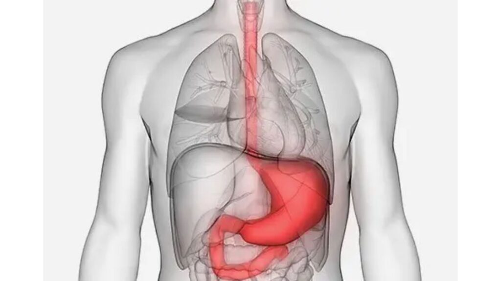 Gastrointestinal Cancer Treatment Preparation In Thrissur