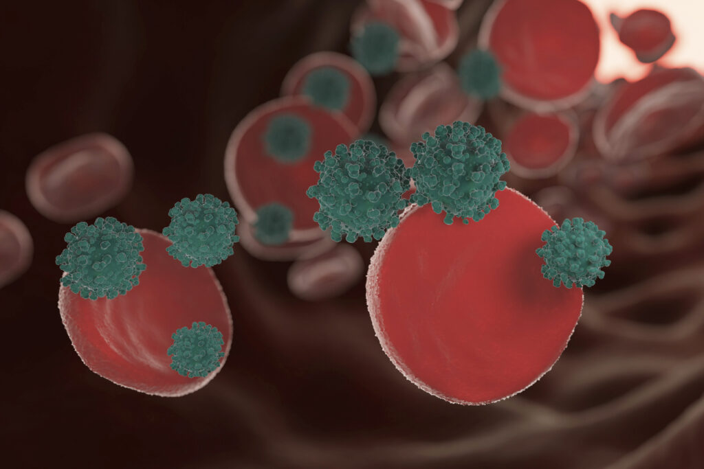 Blood Cancer Consultation in Thrissur showing red blood cells with abnormal cancer cells in bloodstream