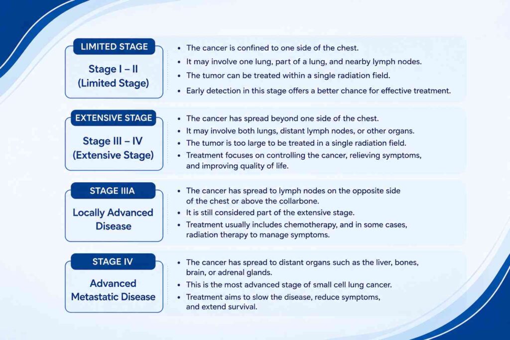 Medical infographic explaining the stages of Small Cell Lung Cancer, including limited stage and extensive stage, with key characteristics and treatment considerations.